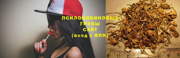 гидропоника Баксан