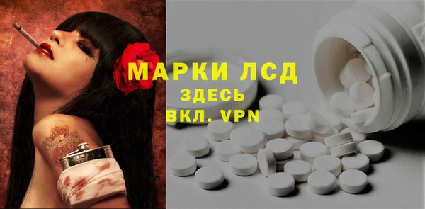 ГАЛЛЮЦИНОГЕННЫЕ ГРИБЫ Балахна