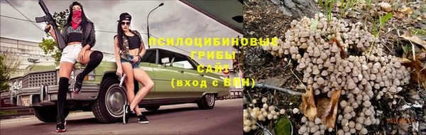 ГАЛЛЮЦИНОГЕННЫЕ ГРИБЫ Балахна